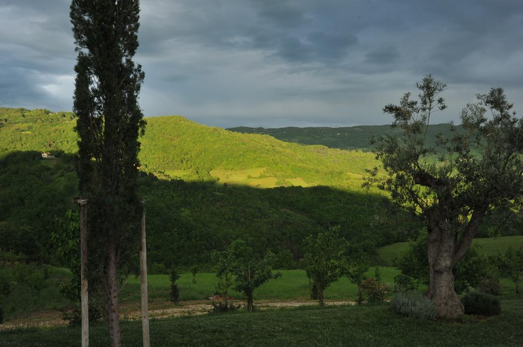Agriturismo Paradiso 44 아시시 외부 사진