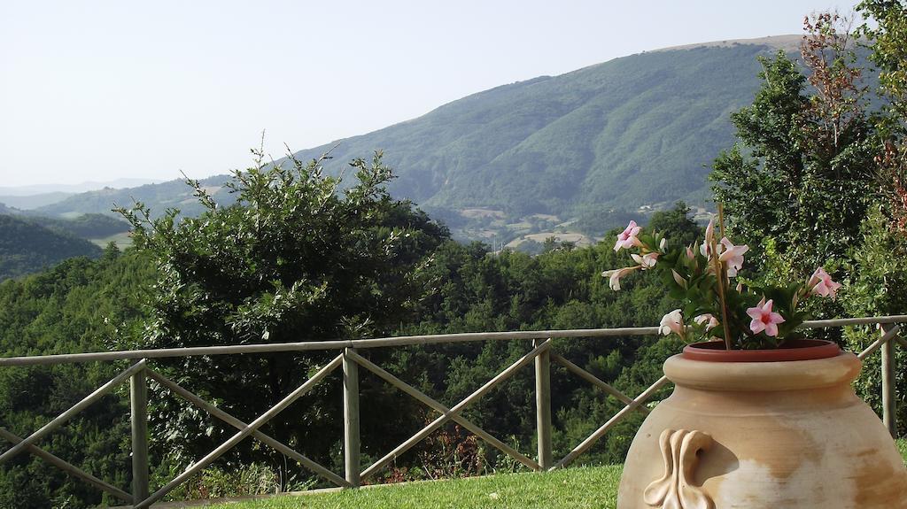 Agriturismo Paradiso 44 아시시 외부 사진