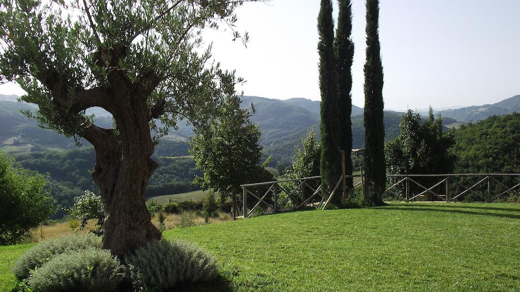 Agriturismo Paradiso 44 아시시 외부 사진