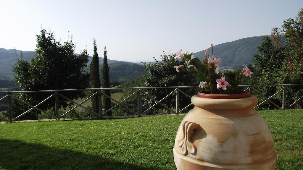 Agriturismo Paradiso 44 아시시 외부 사진