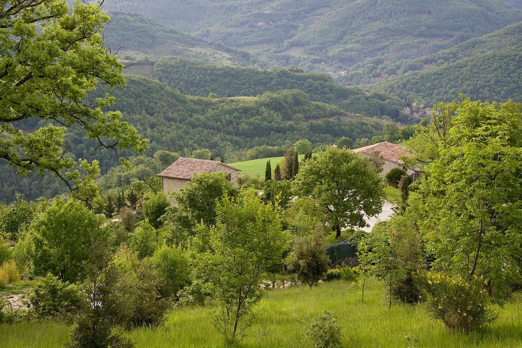 Agriturismo Paradiso 44 아시시 외부 사진