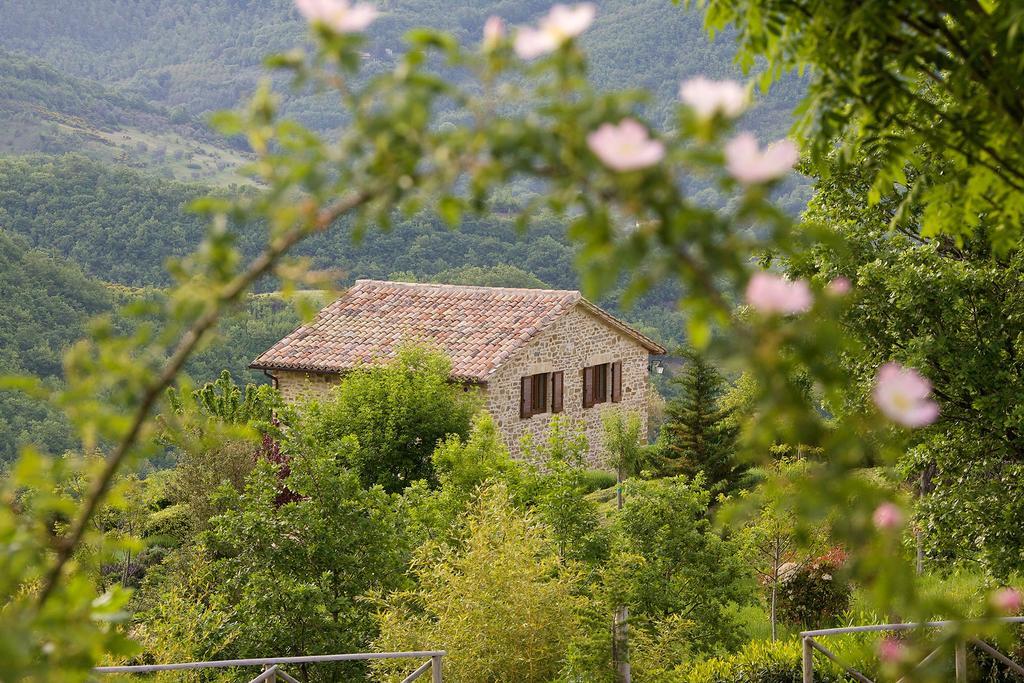 Agriturismo Paradiso 44 아시시 외부 사진