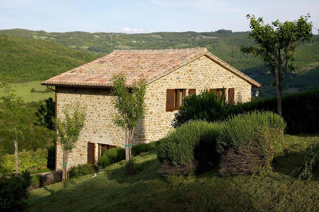 Agriturismo Paradiso 44 아시시 외부 사진